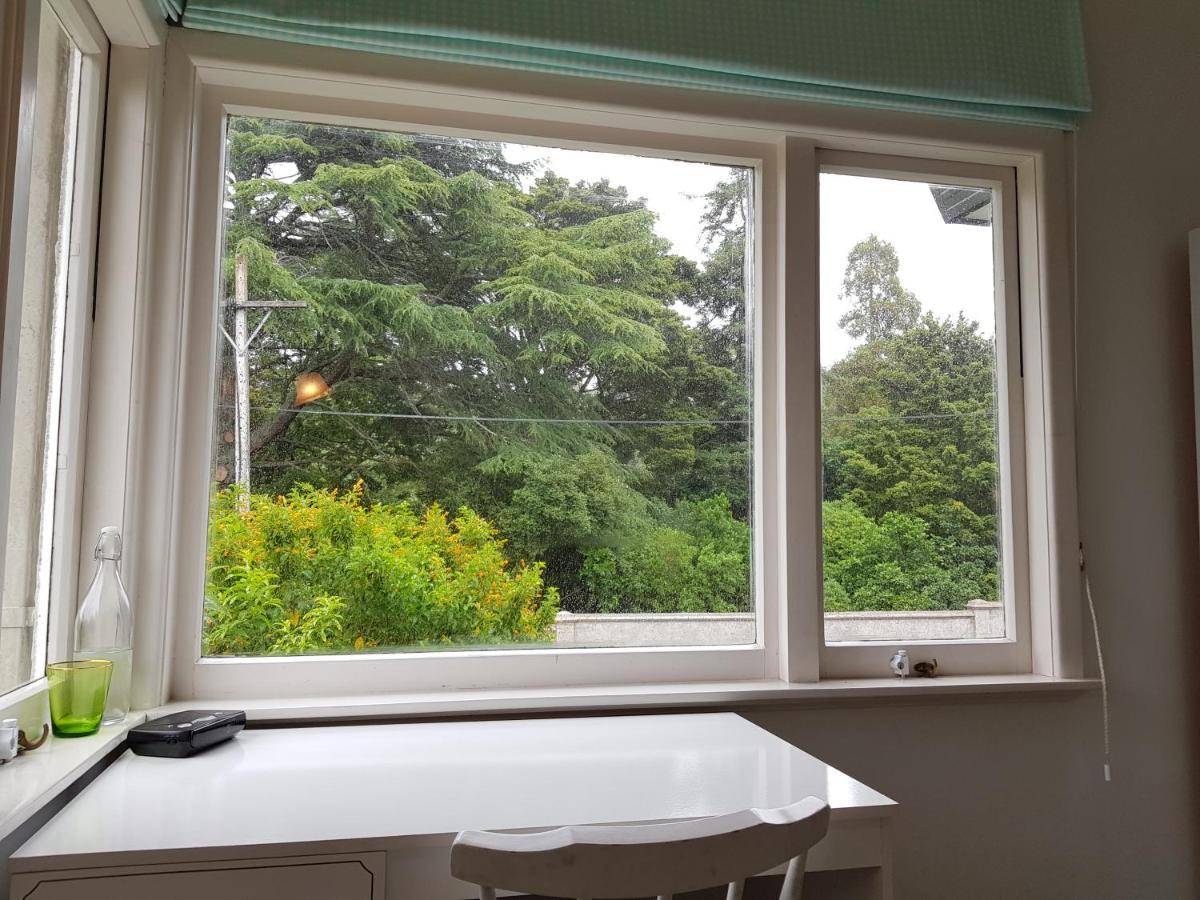 Pine Villa Auckland Exterior photo